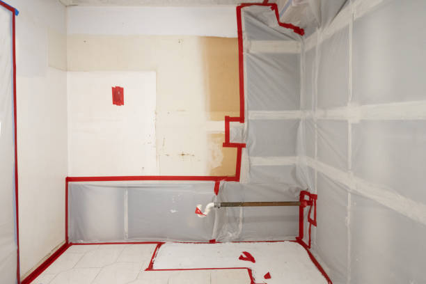 Best Basement Mold Removal  in Kenilworth, NJ