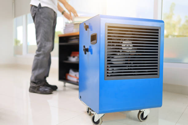 Best Mold-Related Health Consultation  in Kenilworth, NJ