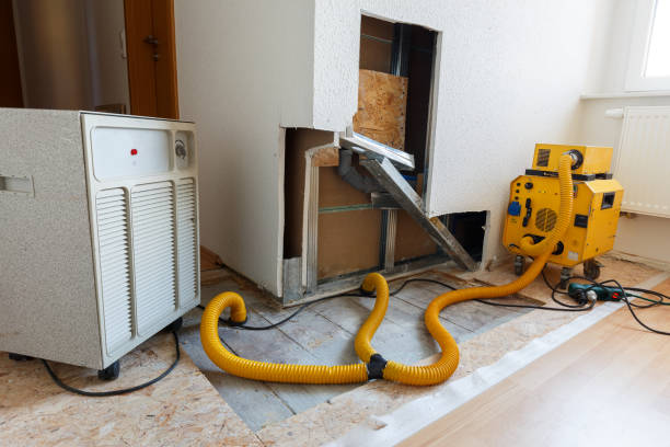 Best Industrial Mold Remediation  in Kenilworth, NJ