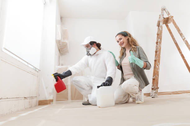 Best HVAC Mold Inspection and Cleaning  in Kenilworth, NJ
