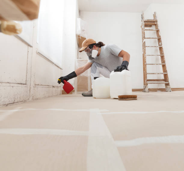 Best Water Damage & Mold Remediation  in Kenilworth, NJ