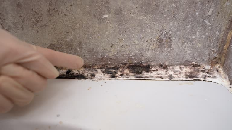 Best Dehumidification Services  in Kenilworth, NJ
